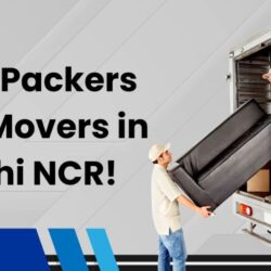 Delhi NCR's Best Packers & Movers