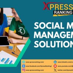 Social Media Management Solutions