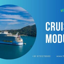 Cruise module
