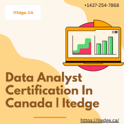 Data Analyst Certification In Canada  Itedge...