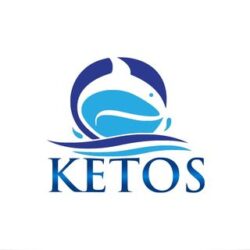 Ketos-Logo
