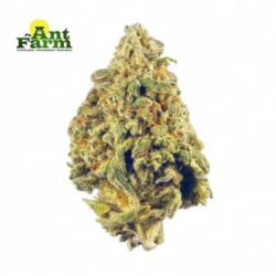 Buy cannabis products online Detroit