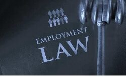 Employment law consultations in Peterborough