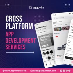 Cross Platform Application Development Services (1)
