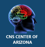 CNS Logo 2