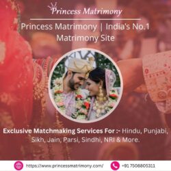 Princess Matrimony best Matrimonial Website in Amritsar