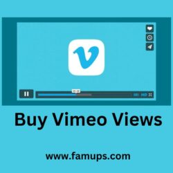buy vimeo views (7)