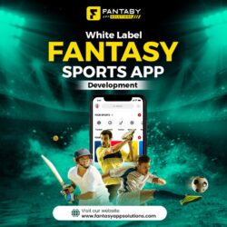 White Label Fantasy Sports App Development (1)