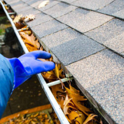 Gutter vacuum cleaning services Canberra