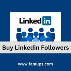 Buy Linkedin Followers (7)