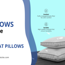Buy Pillows Online From Bharat Pillows