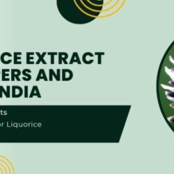 Liquorice-Extract-Manufacturers-and-Suppliers-in-India