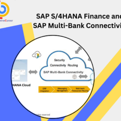 SAP S4 Hana Finance and Multi Bank Connectivity