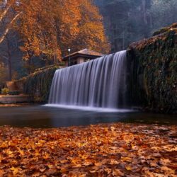free-photo-of-waterfall-in-achabal-garden-in-india-in-autumn
