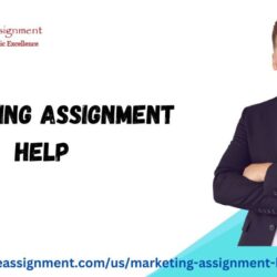 marketing assignment help 2