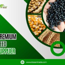 Get Improved Crops with Our Premium Seed Supplier