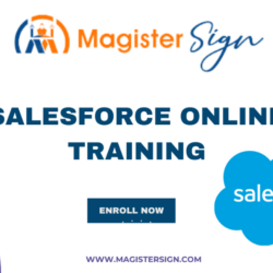 Salesforce-Online-Training