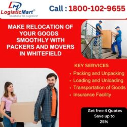 Packers and Movers Whitefield Bangalore