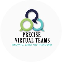 precisevirtualteam_logo