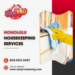 Honolulu housekeeping services (1)