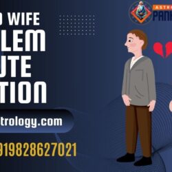 husband wife problem dispute solution