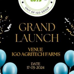 launch invite