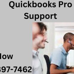 Quickbooks Pro Support