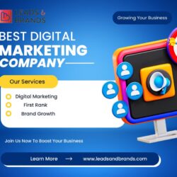Best Digital Marketing Company in Bhopal