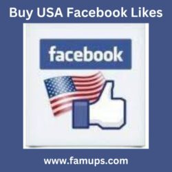 buy usa Facebook likes (4)