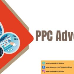 Top PPC Advertising Service (1)