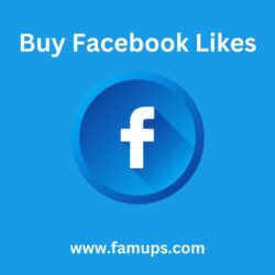 buy facebook likes (10)