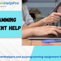 Programming Assignment Help 2