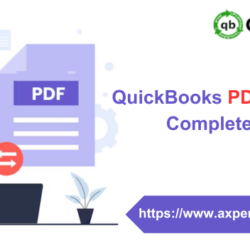 QuickBooks-pdf-converter-