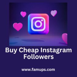 buy cheap Instagram followers (1)