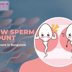Low Sperm Count Treatment in Bangalore