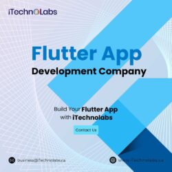 flutter-app-development-company-itechnolabs (4)_11zon (1) (1)
