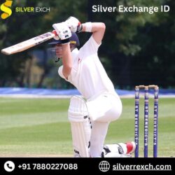 Silverexch_ID