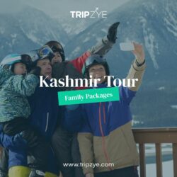 kashmir family tour packages_2_1