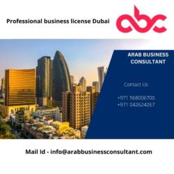 professional business licence in dubai