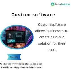 Custom software (2)