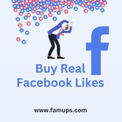 buy real Facebook likes