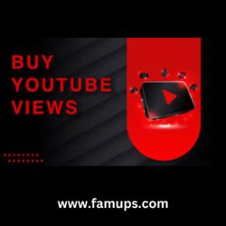 buy YouTube views (3)