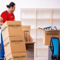 Effective Englewood Movers Flow Moving Options for Every Need