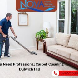You_Need_Professional_Carpet_Cleaning Dulwich Hill