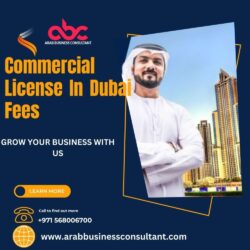 Commercial license in Dubai fees