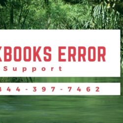 Why Is QuickBooks Error Support Important (1)